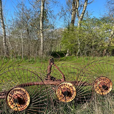 Grubbe Molle, Med Eget Kokken Og Bad