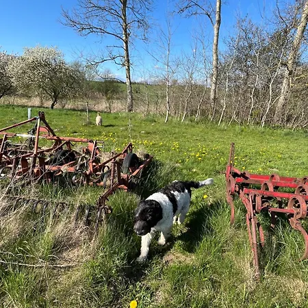 Oda ve Kahvaltı Grubbe Molle Fåborg