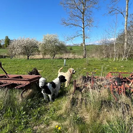 Grubbe Molle, Med Eget Kokken Og Bad לינה וארוחת בוקר