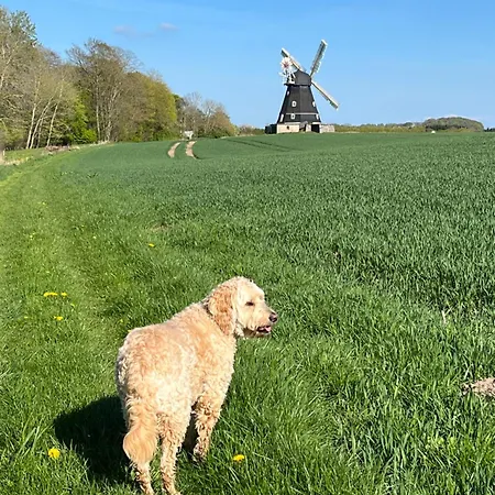 Grubbe Molle, Med Eget Kokken Og Bad לינה וארוחת בוקר 3*