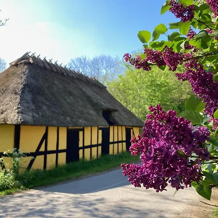 Grubbe Molle, Med Eget Kokken Og Bad לינה וארוחת בוקר פאבורג