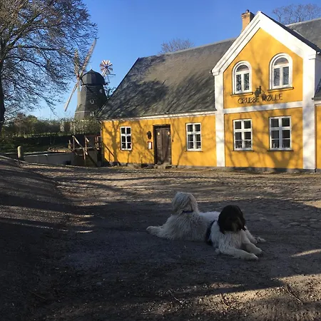 Grubbe Molle, Med Eget Kokken Og Bad פאבורג